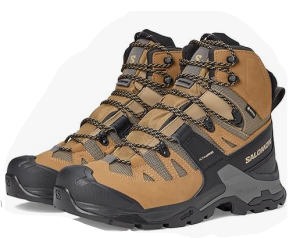 Salomon Mens Quest 4 GTX® 