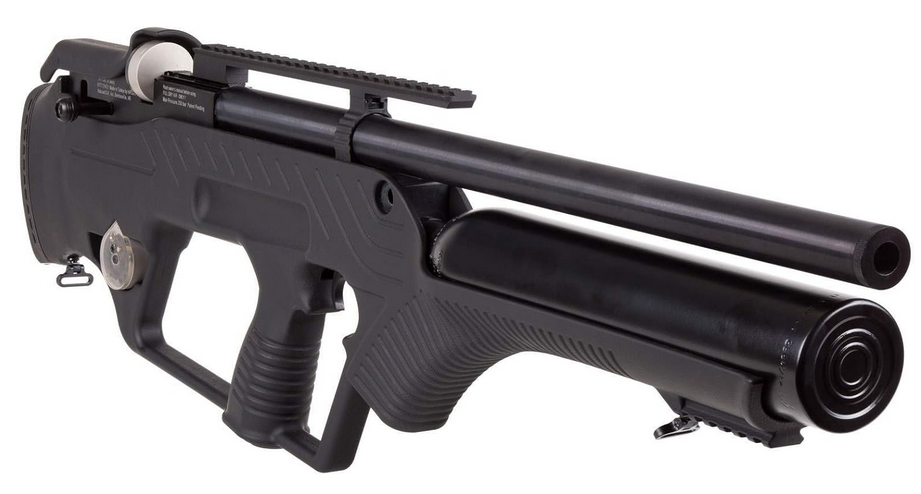 Best Hunting Air Rifle For Raccoons