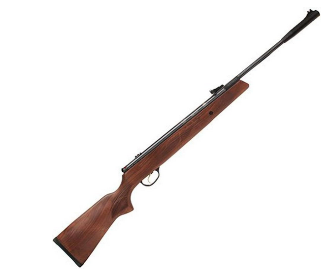 Best Beginner Hunting Air Rifle For Rabbits