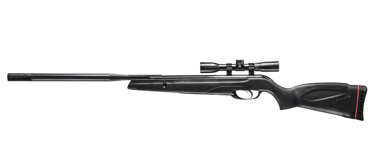 Best Hunting Air Rifle With Scope For Beginners