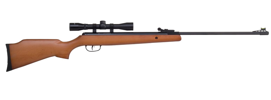 Best Entry Level Air Rifle