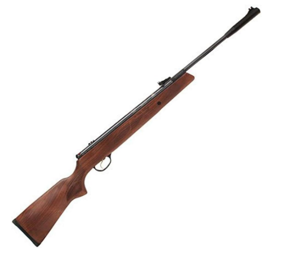 Best Air Rifle for Birds