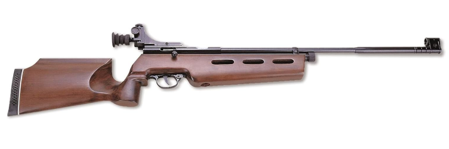 Best Air Rifle for Pest Control
