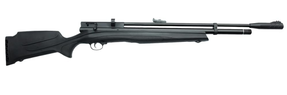 Best Beginner Air Rifle Under $300