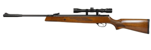 HatsanAir Rifle