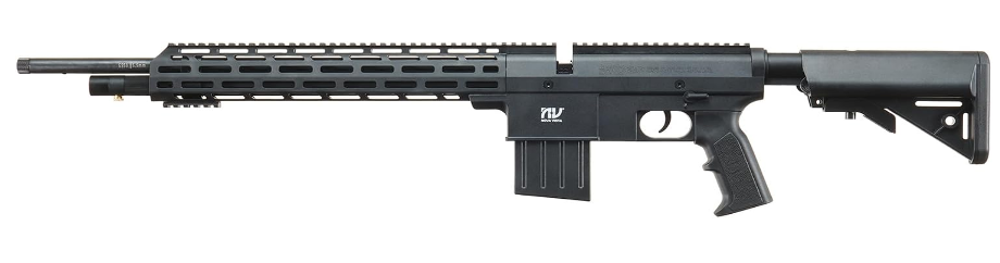 Best PCP Air Rifle Under $300
